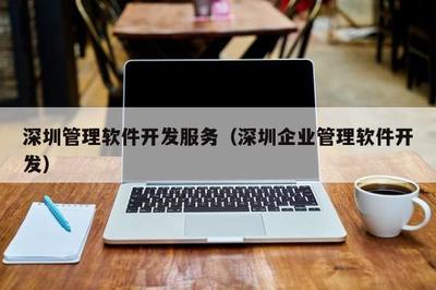 深圳管理軟件開(kāi)發(fā)服務(wù) 滿足現(xiàn)代企業(yè)需求的全面解決方案